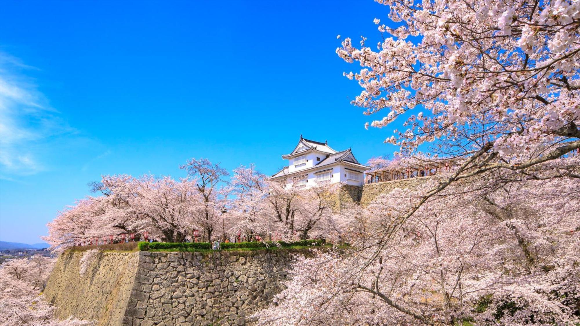 Ana Crowne Plaza Okayama By Ihg Hotell Exteriör bild